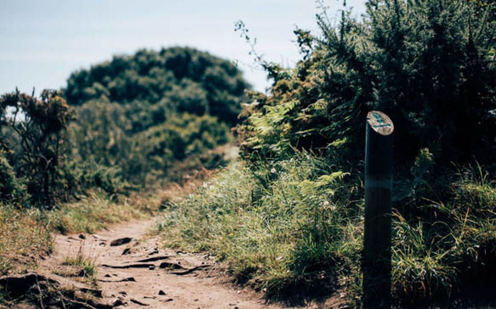 Walking Trail