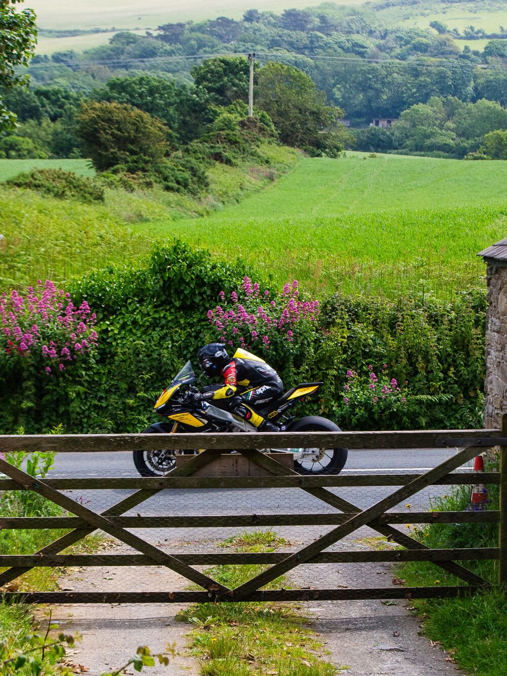 2024 IOM TT RACER