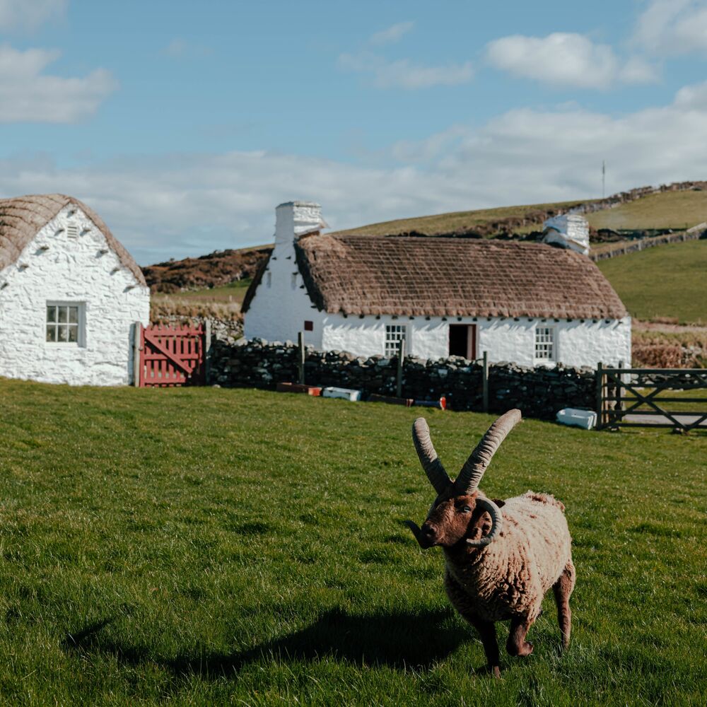 Cregneash