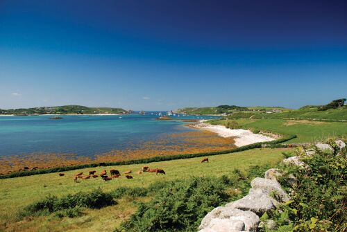 Tresco