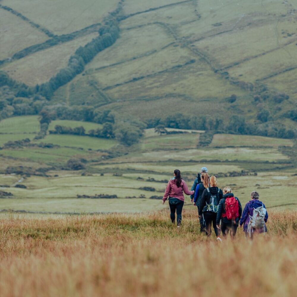Group of people walking through big grass mountains.