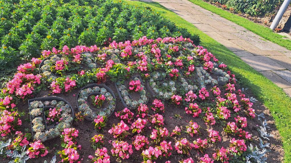 Douglas Promenade Gardens flower bed Douglas Promenade Gardens flower bed