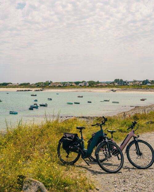 bay and bike hire
