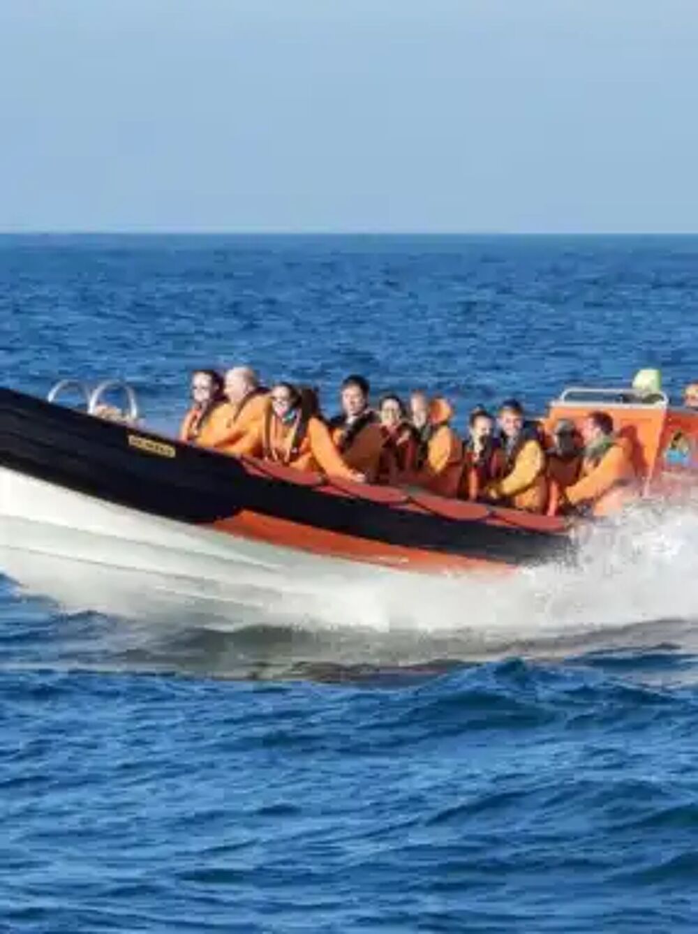 Image of Island RIB Voyages