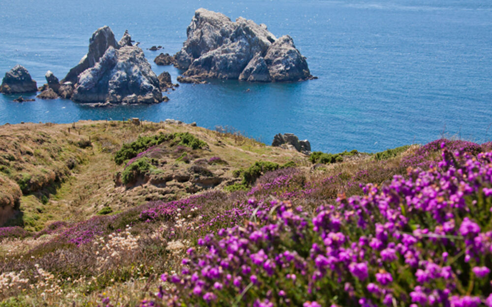 Alderney Coast Alderney Coast
