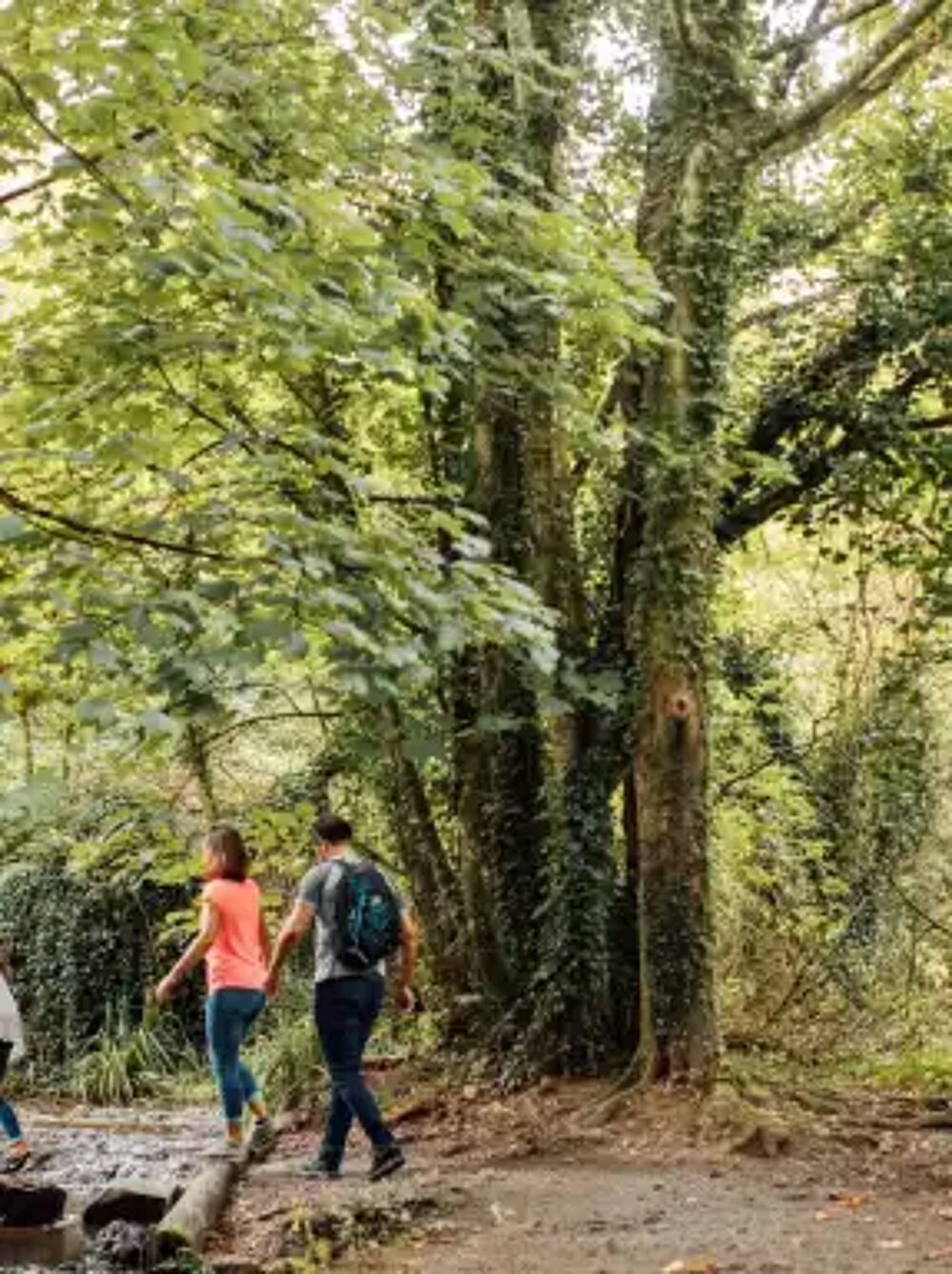 St Catherine's Wood