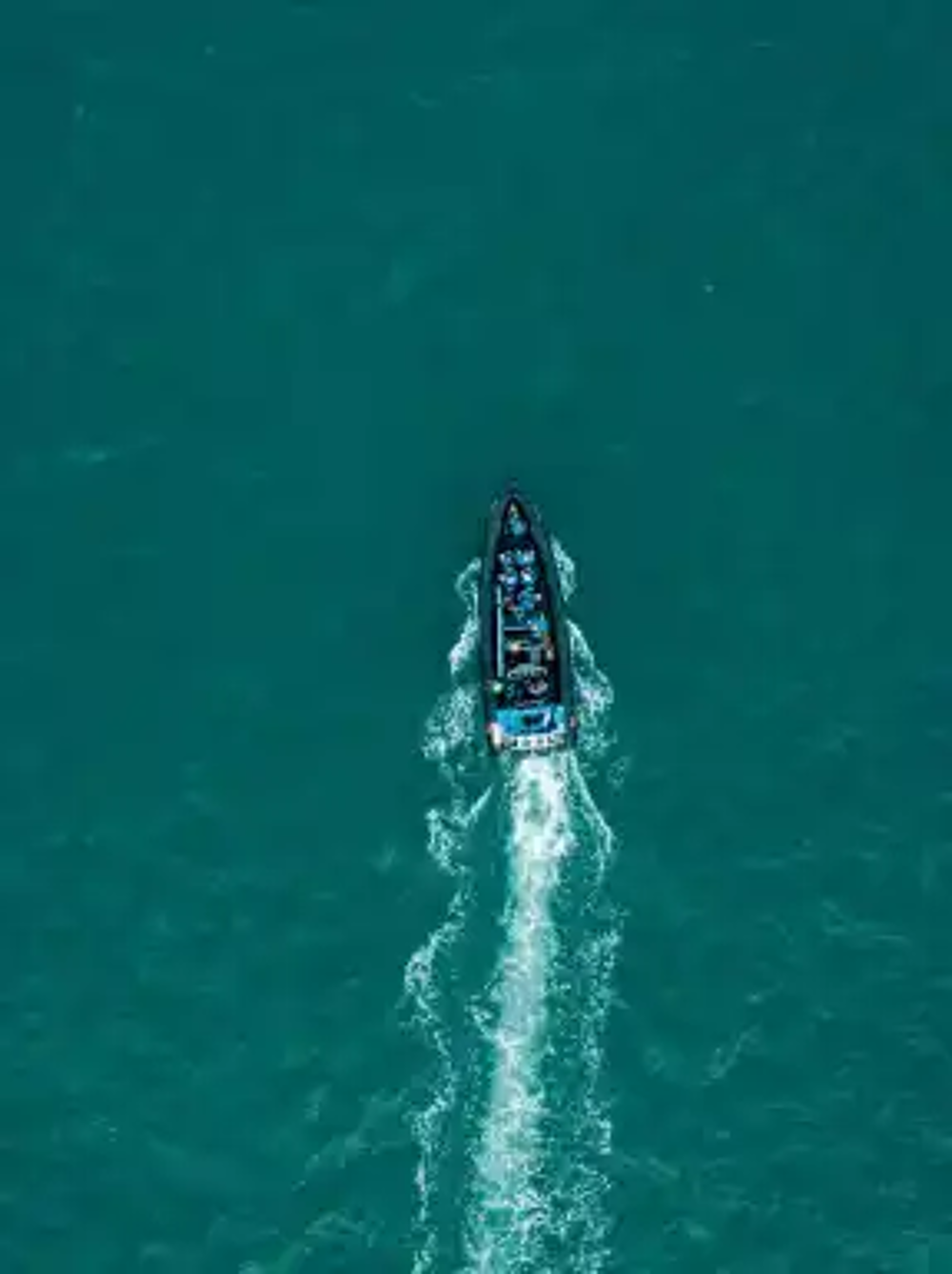 Image of Jersey Seafaris