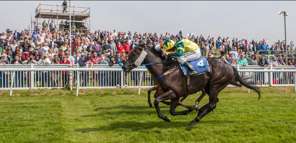 Jersey Races