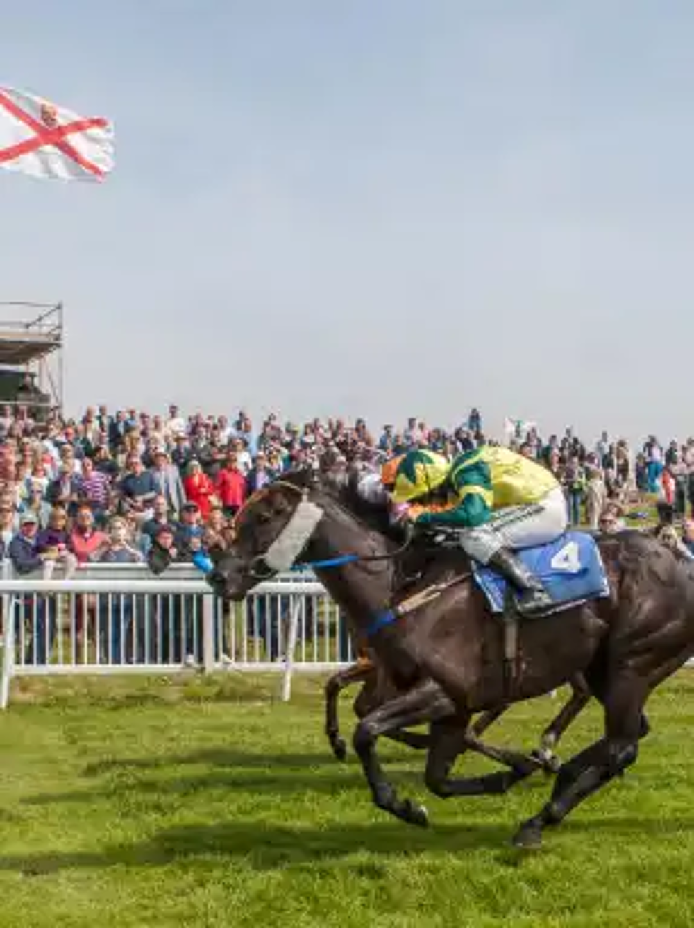 Image of Jersey Races