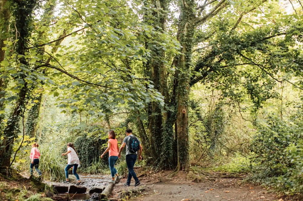 Image of St Catherine's Woods