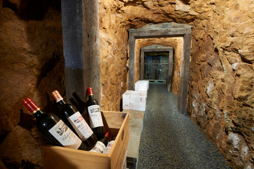 Wine cave