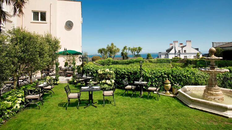 Olive grove - outdoor dining